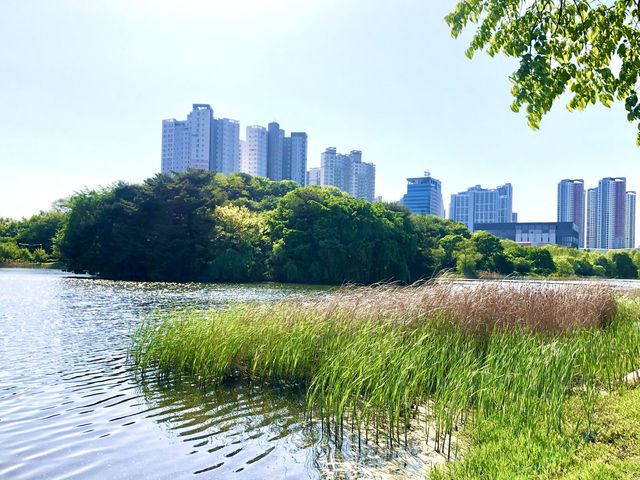 더 늦기전에 고양 꽃 박람회로 Go! Go! 🌺