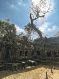 The temples of Angkor Wat, Cambodia🇰🇭