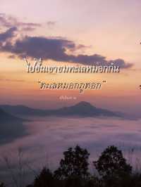 ขึ้นเขาไปชมทะเลหมอกกัน⛰️