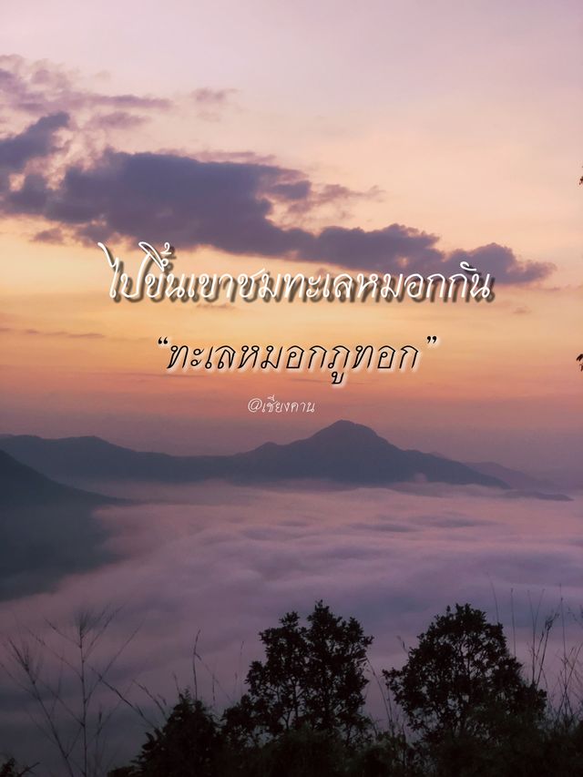 ขึ้นเขาไปชมทะเลหมอกกัน⛰️