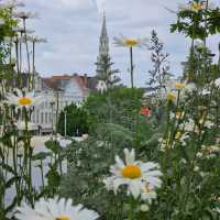 Art hill กลางเมืองบรัสเซล