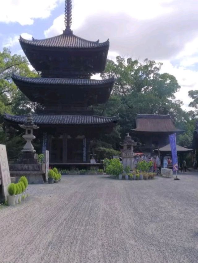 【愛媛】ミシュランガイド1つ星の寺院！