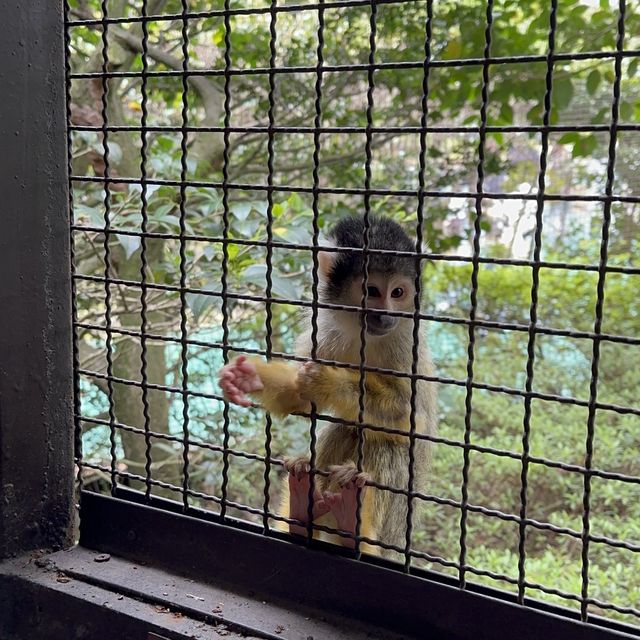 親親大動物 - 九州自然動物園