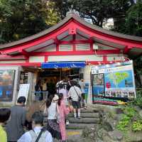 鐮倉與江之島一日遊