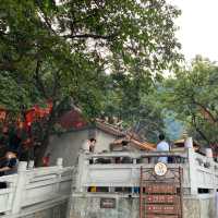 深圳景點✨ 人山人海的鳳凰山森林公園