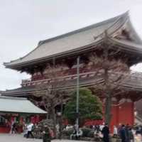 雷門淺草觀音寺，東京必遊最古老的廟宇。