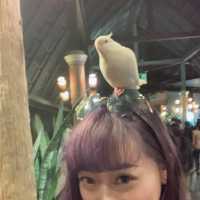 可以摸到好多野生動物嘅地方
