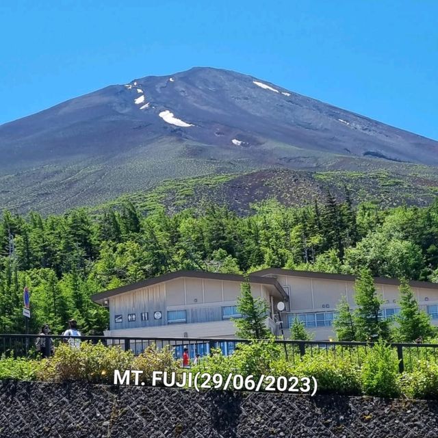 Catch A Glipse Of Mount Fuji