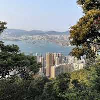 🇭🇰山頂健步,免費觀景台俯瞰維港