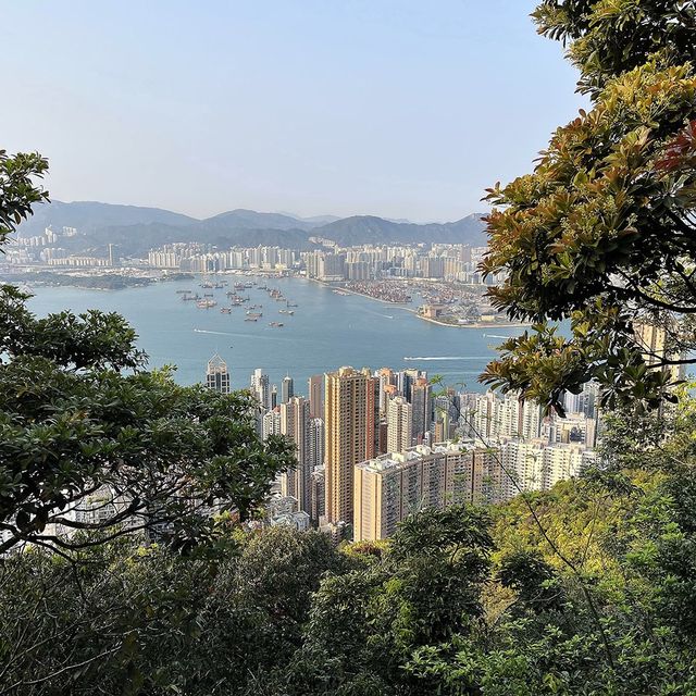 🇭🇰山頂健步,免費觀景台俯瞰維港 🇭🇰山頂健步,免費觀景台俯瞰維港