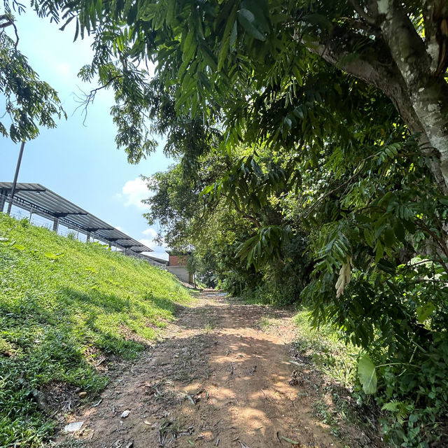 話望生的登山徑