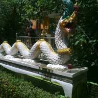 วัดท่าการ้อง