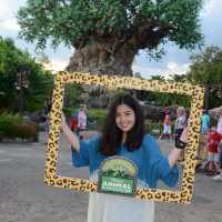 เที่ยวเล่น เต้นด้วยกันที่ Animal Kingdom 