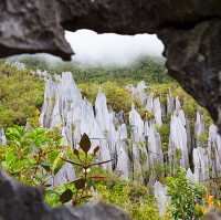 Mulu Magic - Borneo's Hidden Gem