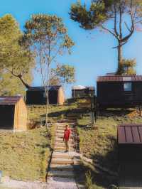 Amazing View at Bobocabin Signature Toba