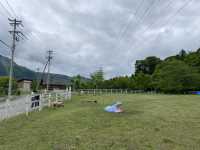 羊山公園