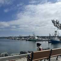 The Vibrant City of San Diego 