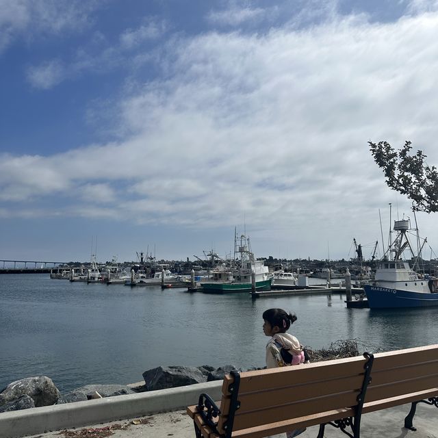 The Vibrant City of San Diego 