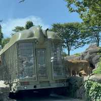 九洲自然動物園觀光車