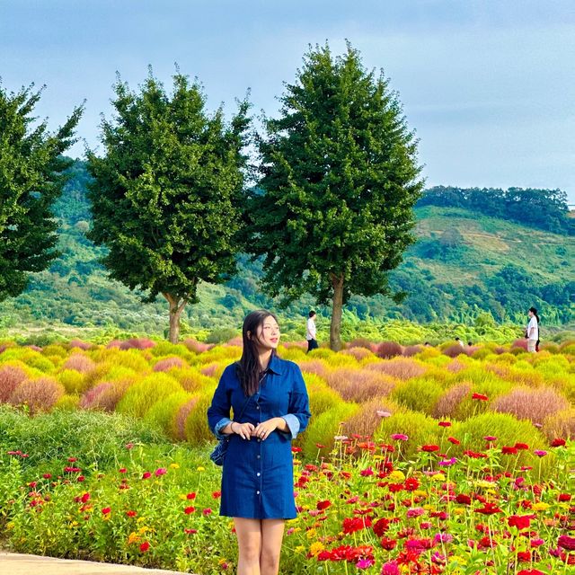 가을나들이명소 연천 댑싸리공원🌳🍁