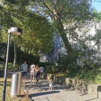 Lion Monument At Lucerne 