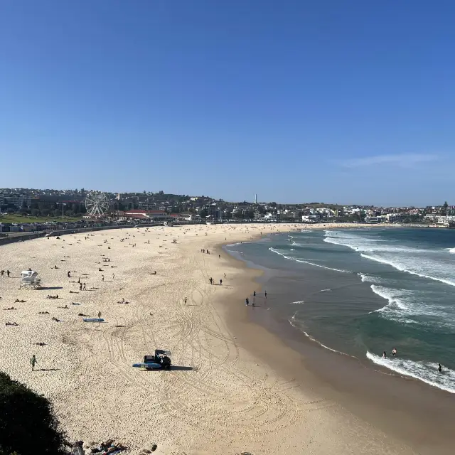 水清沙幼沙灘 Bondi Beach