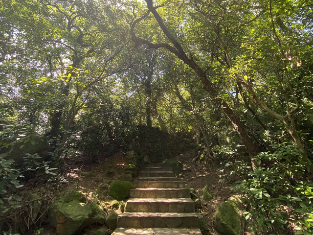 【香港行山】獅子山：俯瞰九龍半島🇭🇰 同處海角天邊⛰️