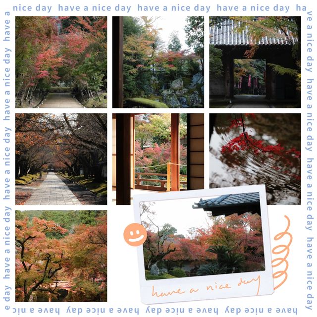 🍁🏯 中將庵～禪意自然日式庭院，紅葉美景如詩！🌿🍂🍁
