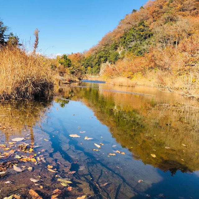松尾川河川 🌊🛶悠閒划船⛵️🏞️