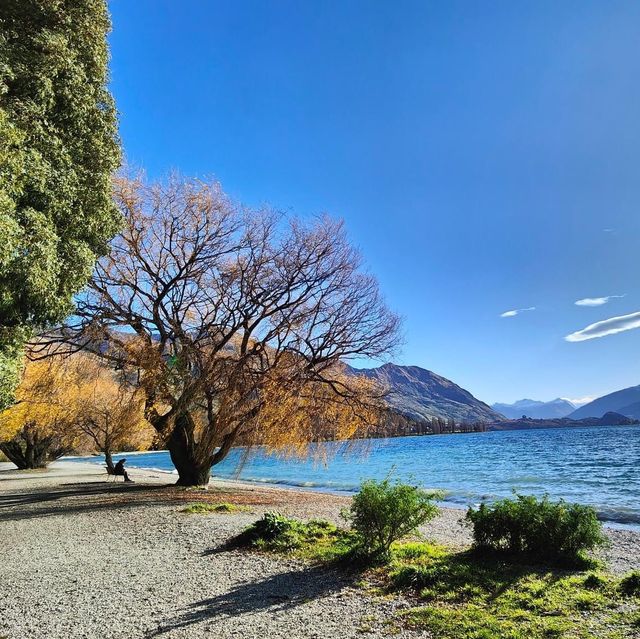 Lake Wanaka autumn colours 