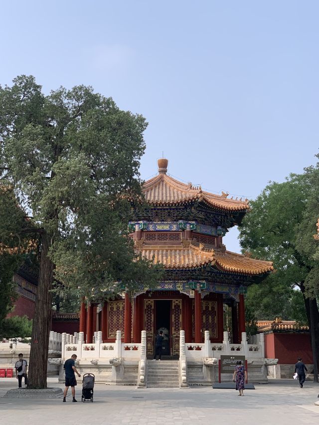 베이징 | 자금성이 내려다보이는 뷰맛집 ‘景山公园’ 🏰