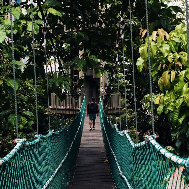 KL Forest Eco Park ❤️🇲🇾