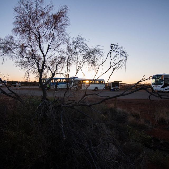 Dining Under the Sparkling Outback Sky Uluṟu