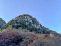 紅葉名所　一目八景