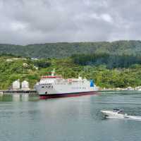 Picton Bliss: Ferry Memories Revived