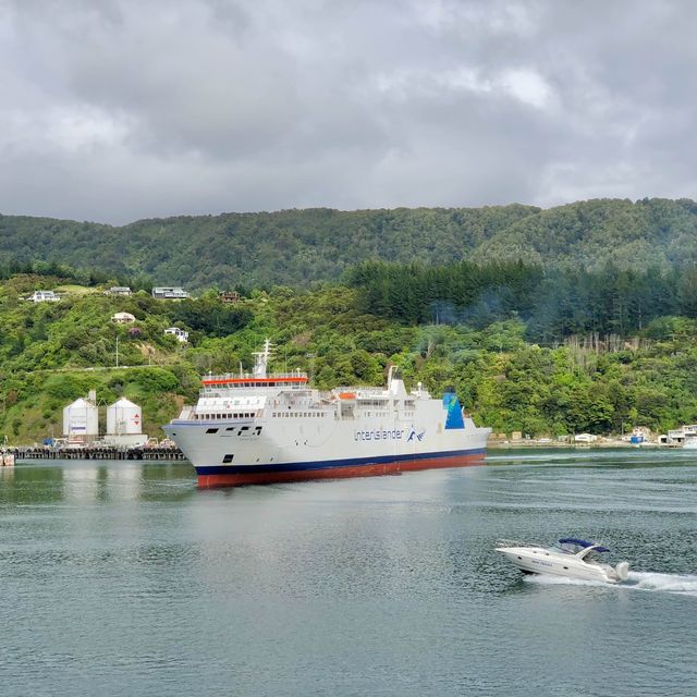 Picton Bliss: Ferry Memories Revived