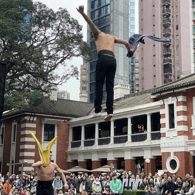 聖誕節好去處超精彩嘅「玩轉大館馬戲季」🎊