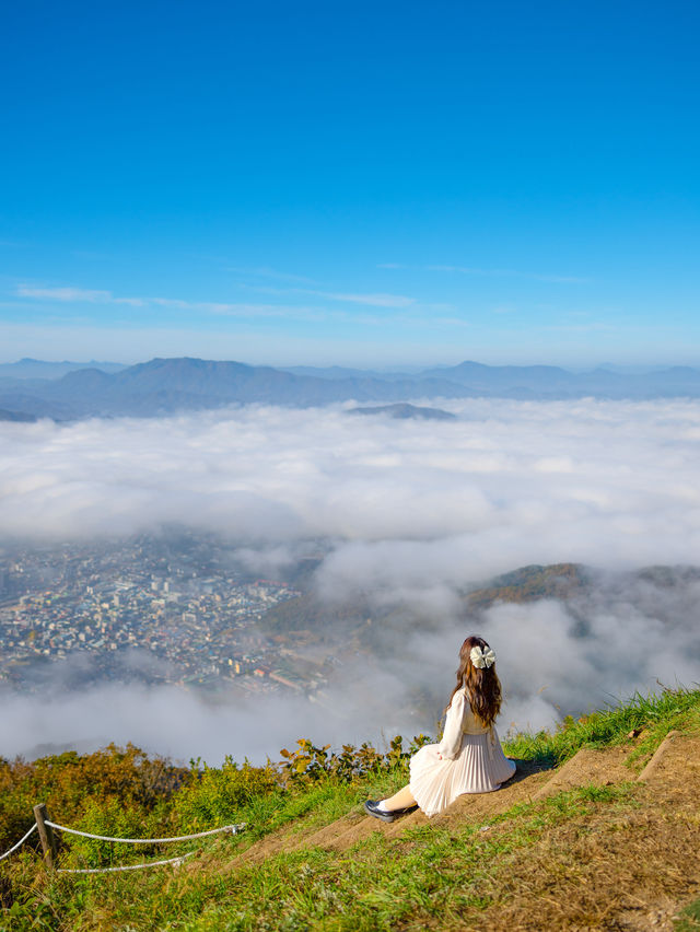 등산안하고 하늘위의 신선이 기분 만끽 가능한 별마루천문대☁️