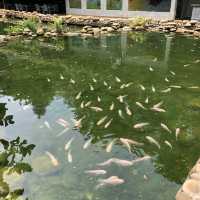 Philea Resort & Spa