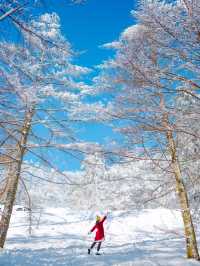 차타고 등산없이 눈꽃보는 만항재 ❄️