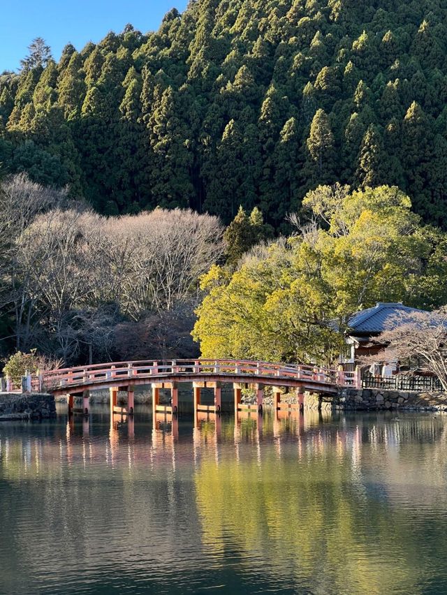 磐城：日本福島的歷史魅力與自然風光🏯🌄