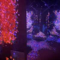 「澳門威尼斯人」5000平方米身體沉浸式美術館Teamlab