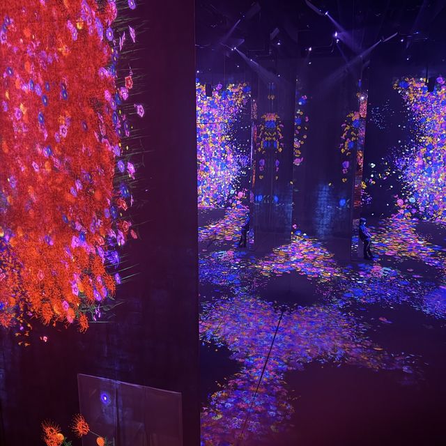 「澳門威尼斯人」5000平方米身體沉浸式美術館Teamlab