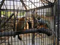 Edogawa City Nature Zoo