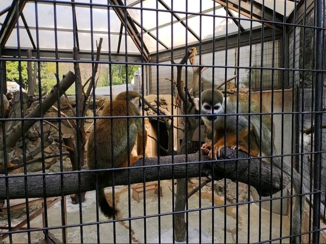 Edogawa City Nature Zoo