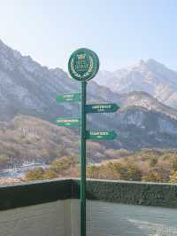 설악산 가서 브런치 안즐기고 오는 사람도 있나요 ?