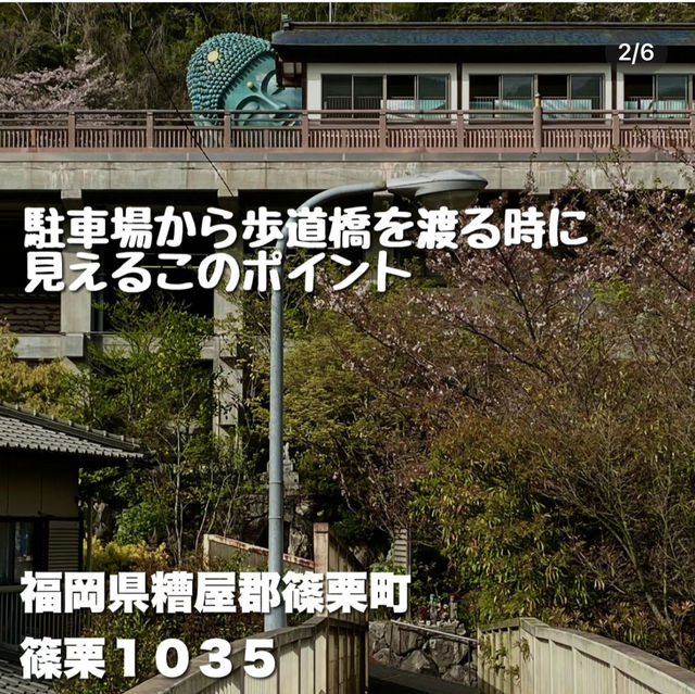 【福岡】宝くじが当たる！？金運スポット世界一横たわる仏像 南蔵院 