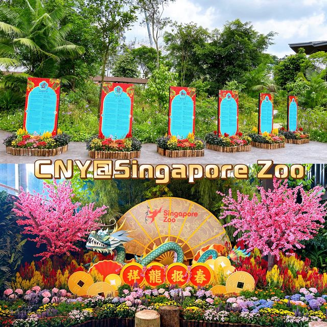 CNY at Singapore Zoo and Bird Paradise 