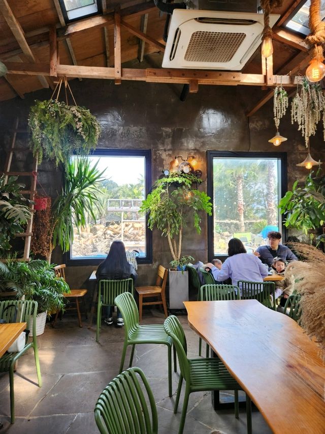 제주도에서 가장 재미있었던 카페 어린왕자감귤밭☺️