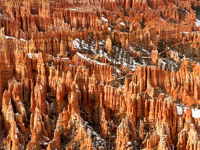 Unbelievable other worldly views in Bryce 